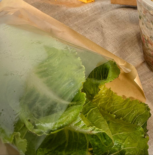 Hojas de lechuga